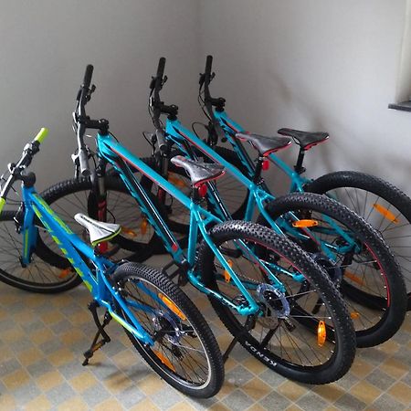 Familien-Sportappartements Wetzel Menzenschwand-Hinterdorf Zewnętrze zdjęcie