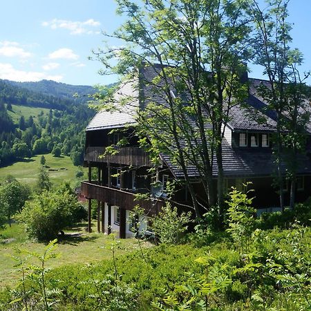 Familien-Sportappartements Wetzel Menzenschwand-Hinterdorf Zewnętrze zdjęcie