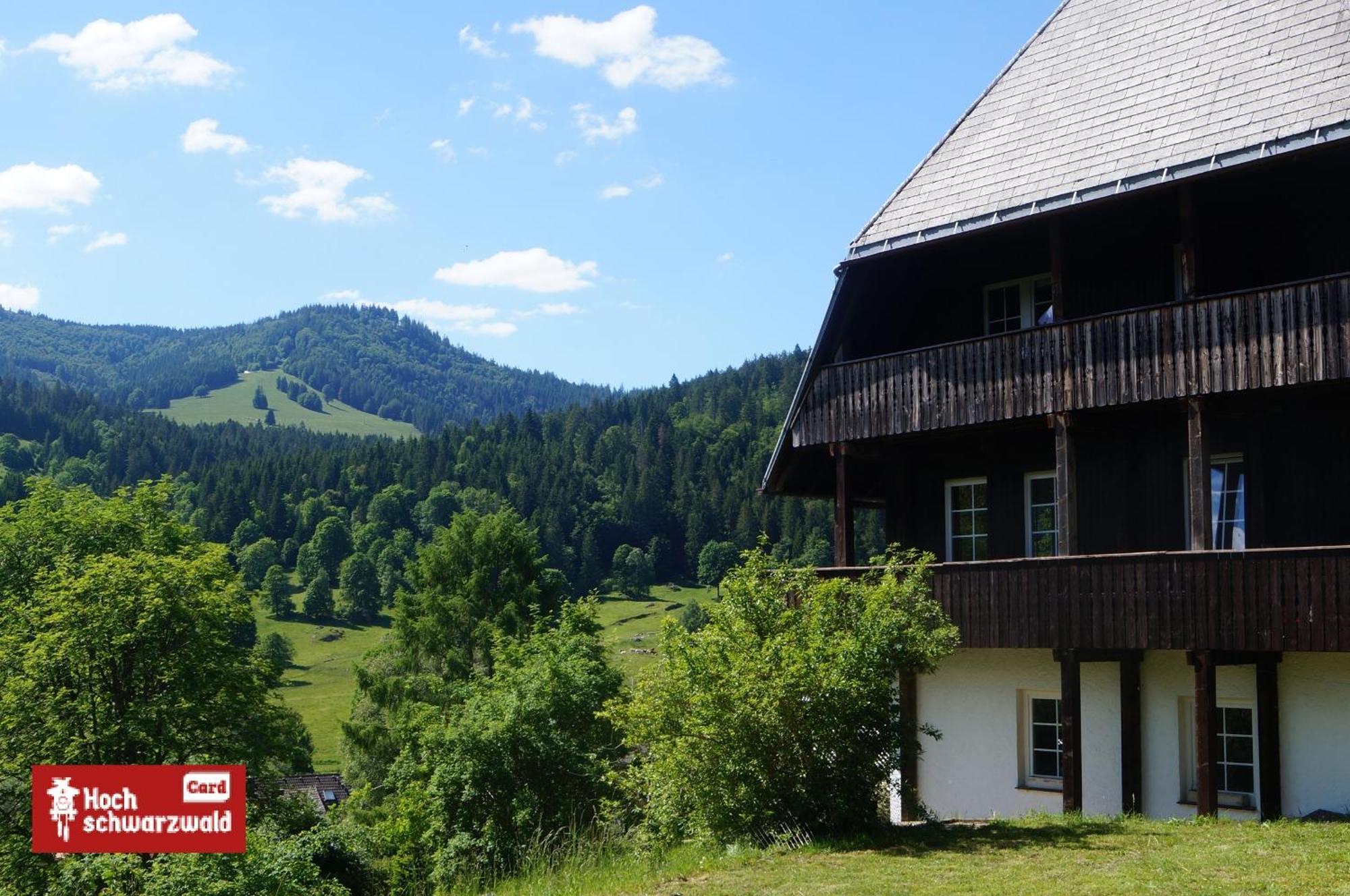 Familien-Sportappartements Wetzel Menzenschwand-Hinterdorf Zewnętrze zdjęcie