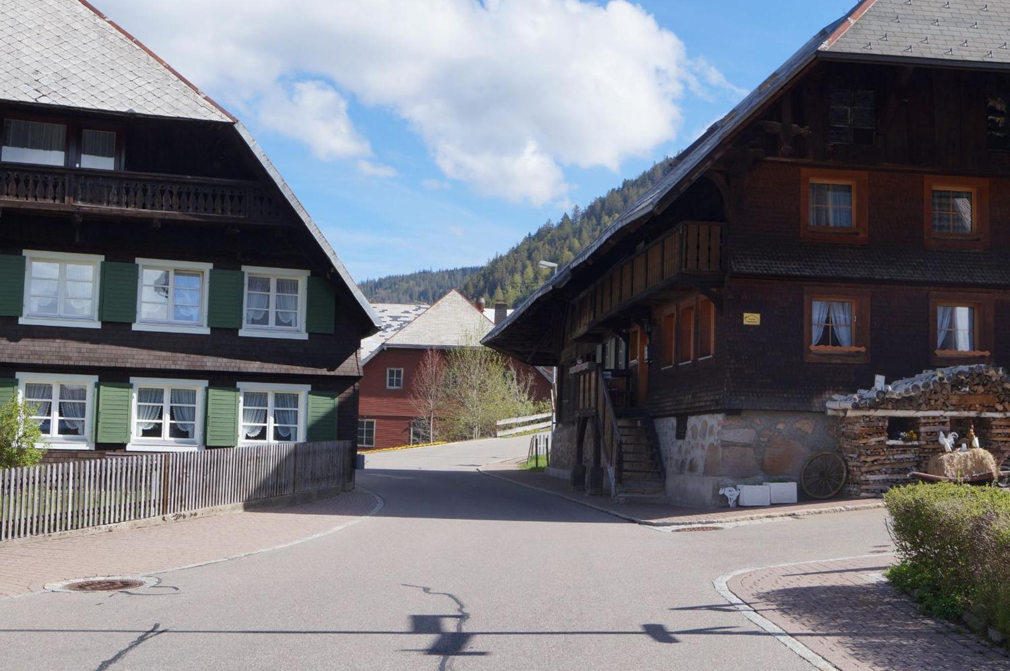 Familien-Sportappartements Wetzel Menzenschwand-Hinterdorf Zewnętrze zdjęcie