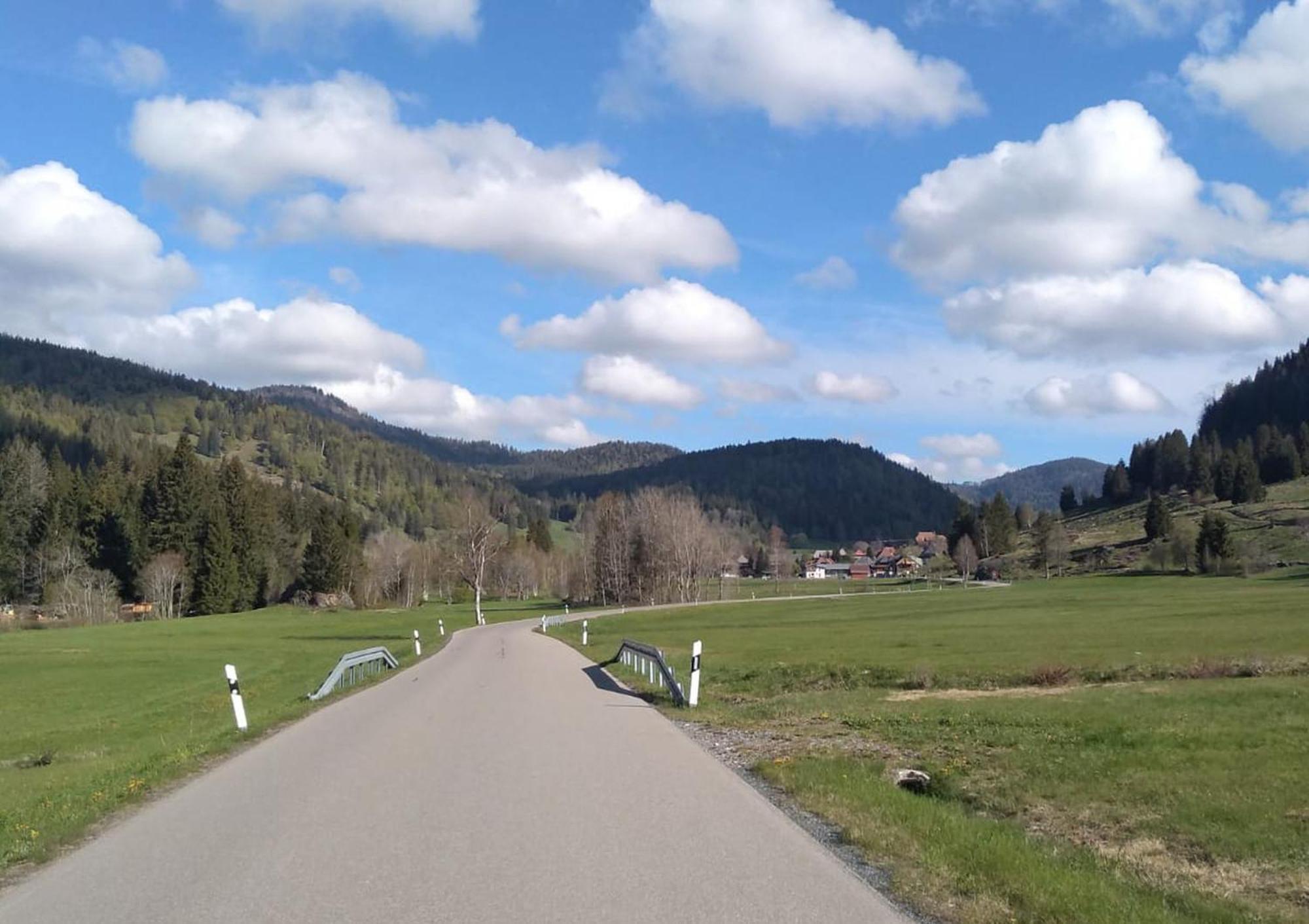 Familien-Sportappartements Wetzel Menzenschwand-Hinterdorf Zewnętrze zdjęcie
