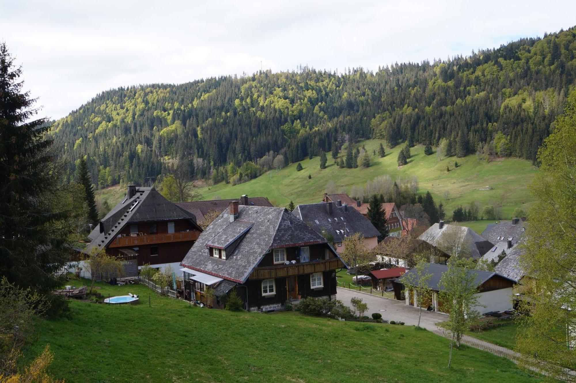Familien-Sportappartements Wetzel Menzenschwand-Hinterdorf Zewnętrze zdjęcie