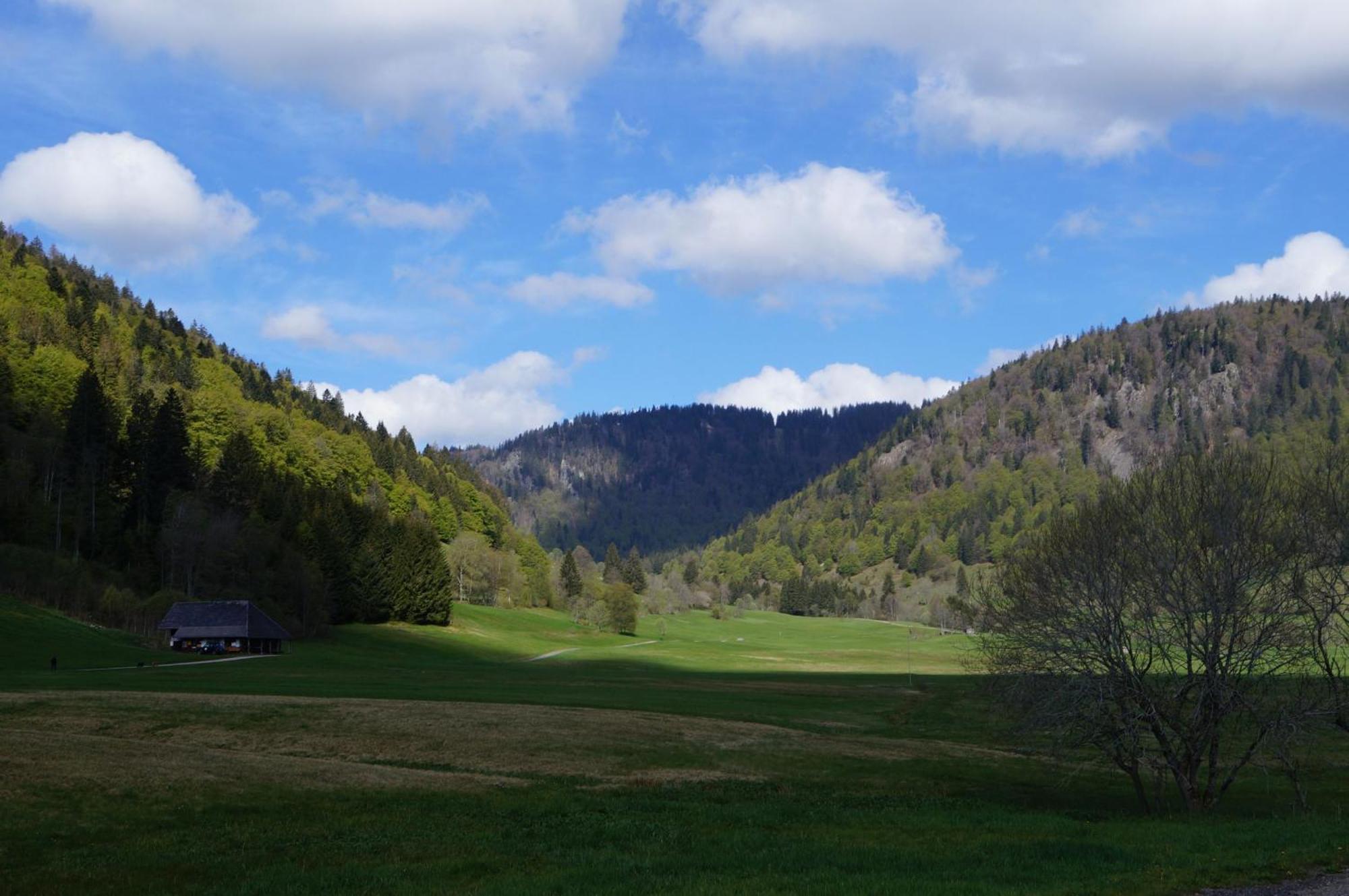 Familien-Sportappartements Wetzel Menzenschwand-Hinterdorf Zewnętrze zdjęcie