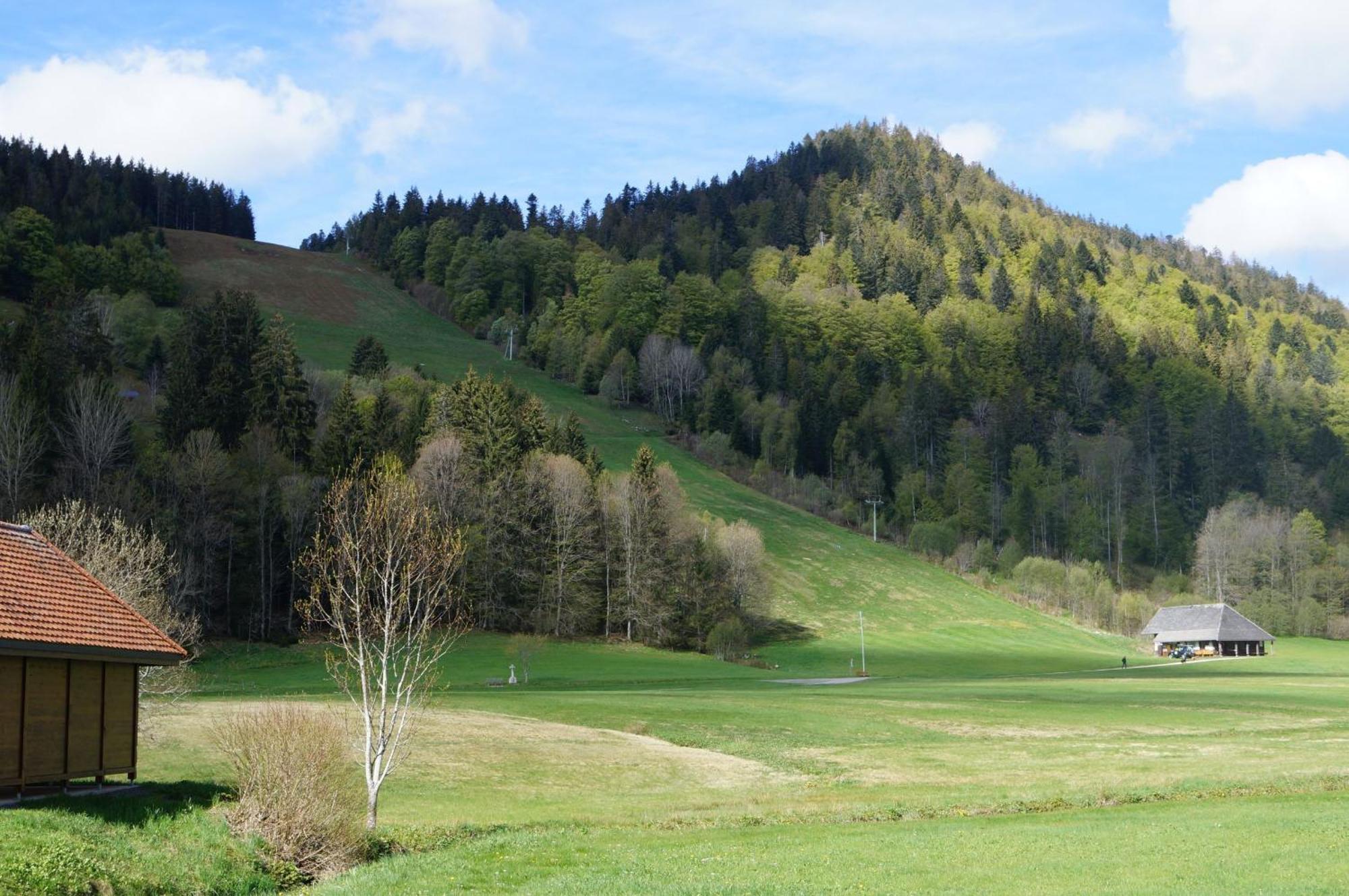 Familien-Sportappartements Wetzel Menzenschwand-Hinterdorf Zewnętrze zdjęcie
