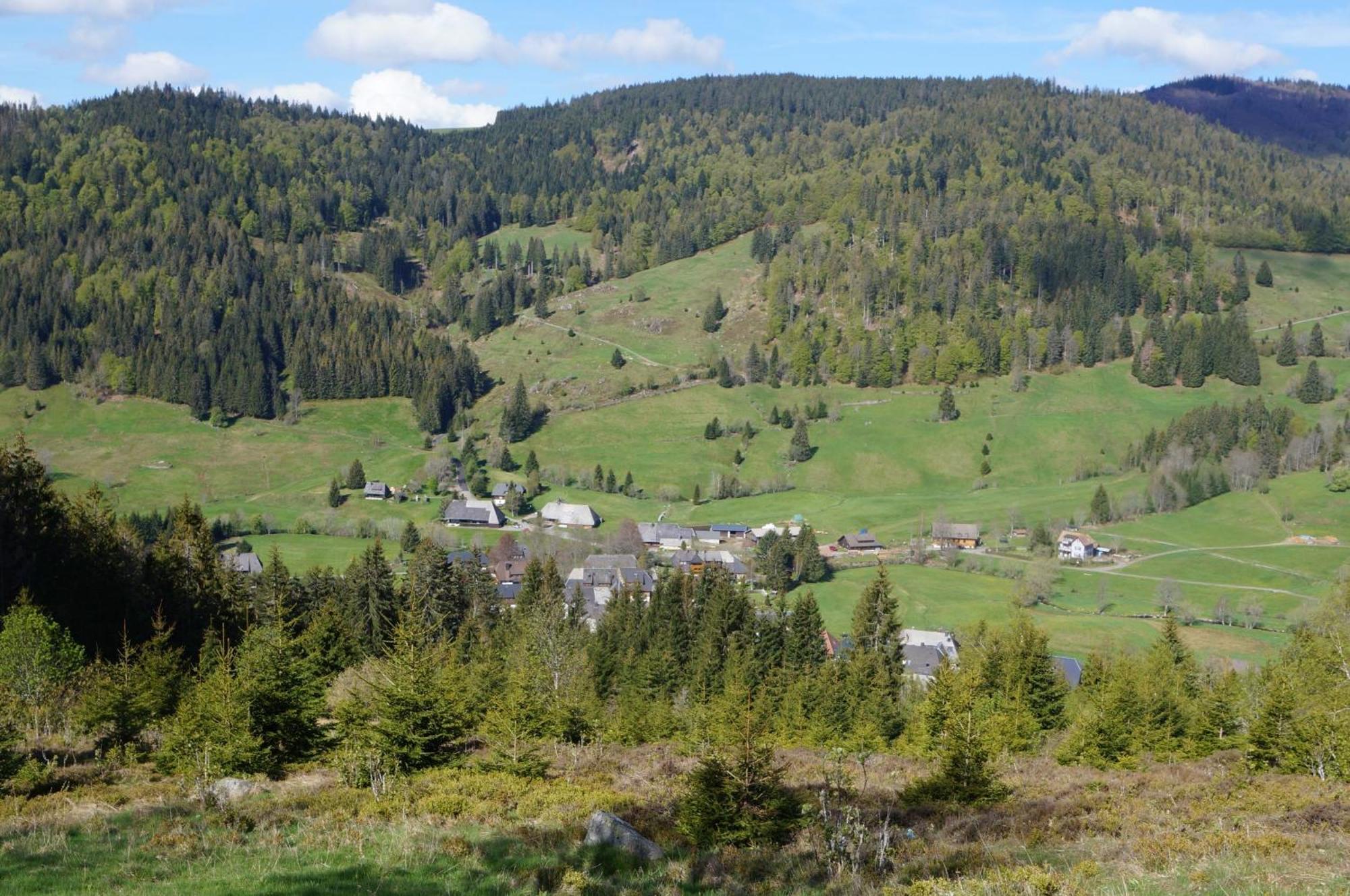 Familien-Sportappartements Wetzel Menzenschwand-Hinterdorf Zewnętrze zdjęcie