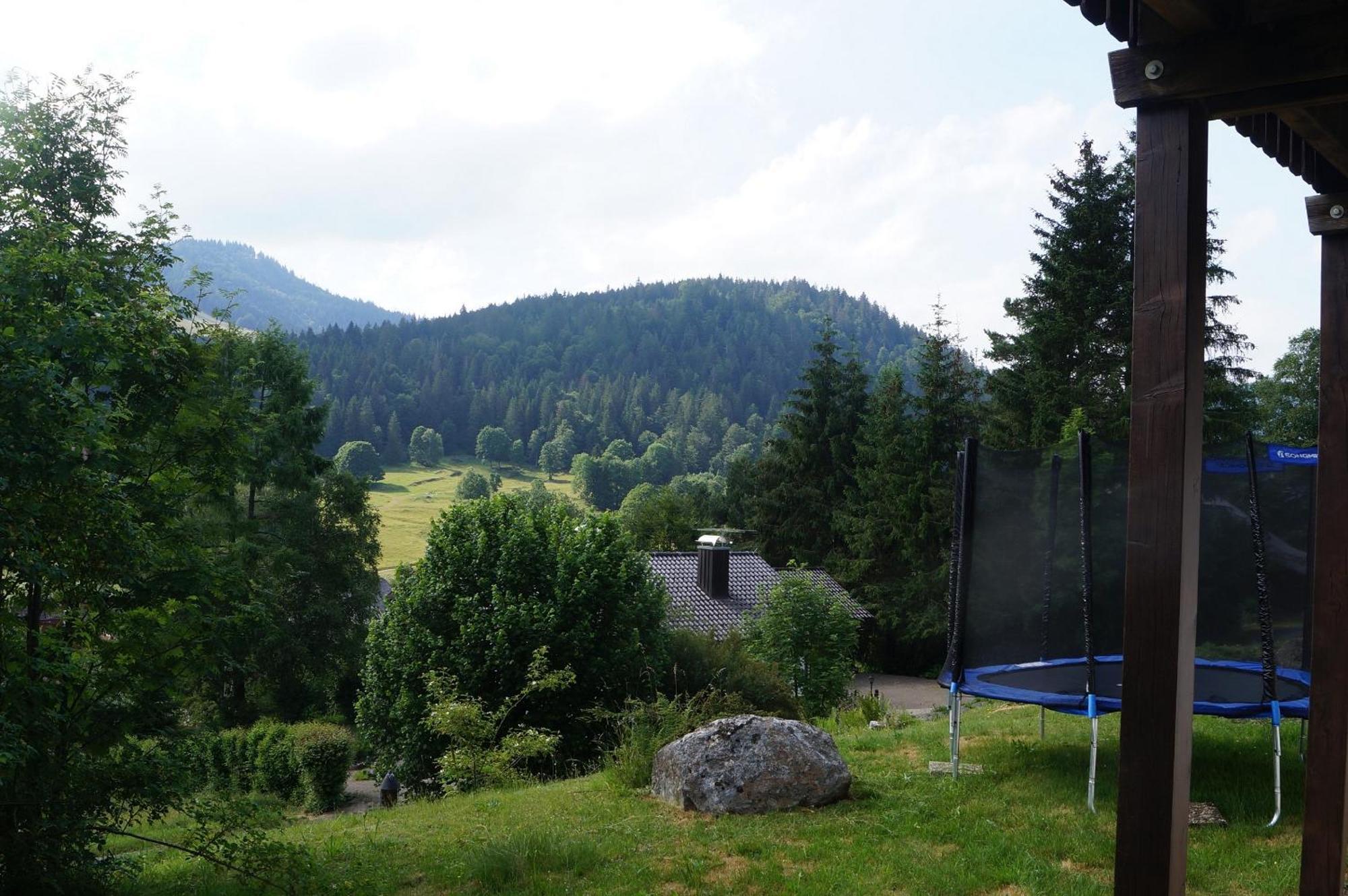 Familien-Sportappartements Wetzel Menzenschwand-Hinterdorf Zewnętrze zdjęcie