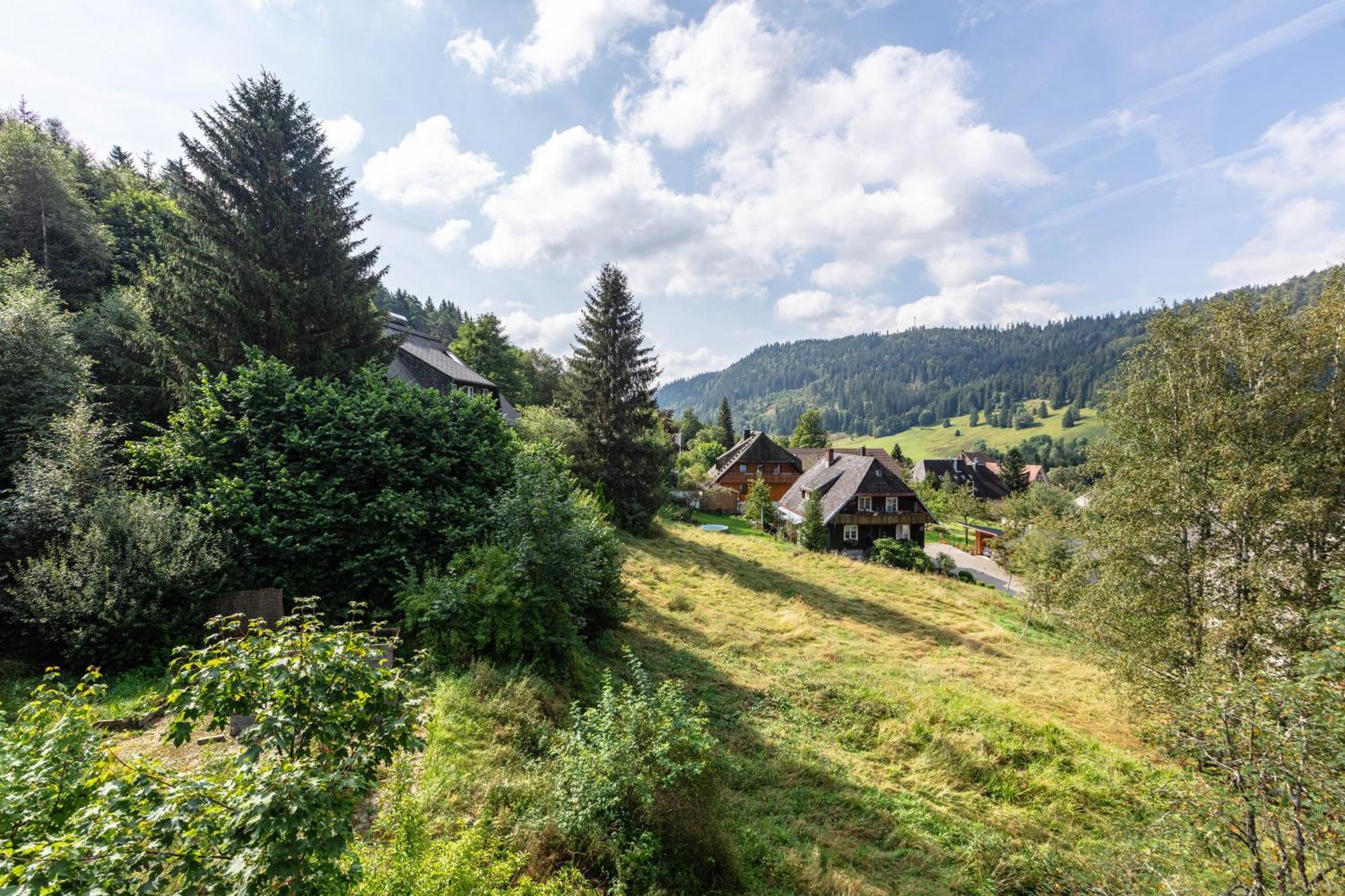 Familien-Sportappartements Wetzel Menzenschwand-Hinterdorf Zewnętrze zdjęcie